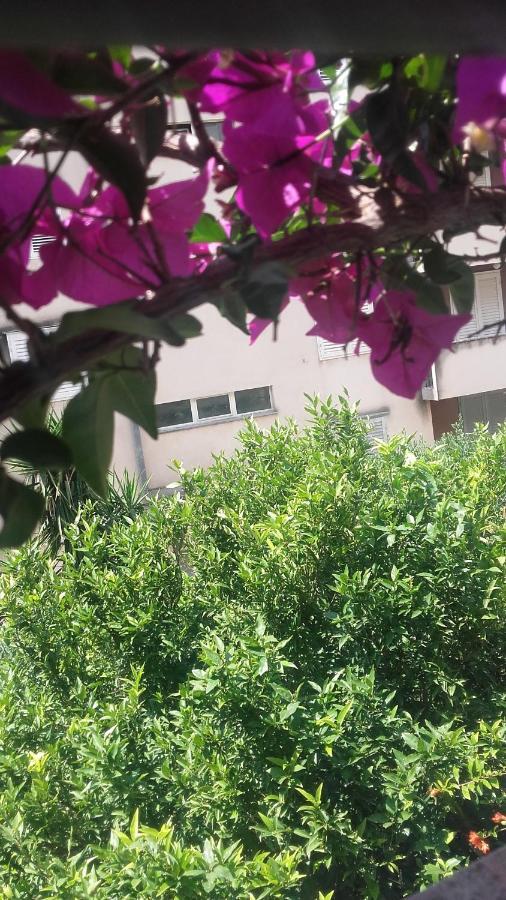 מאקרסקה Centar Guest House מראה חיצוני תמונה